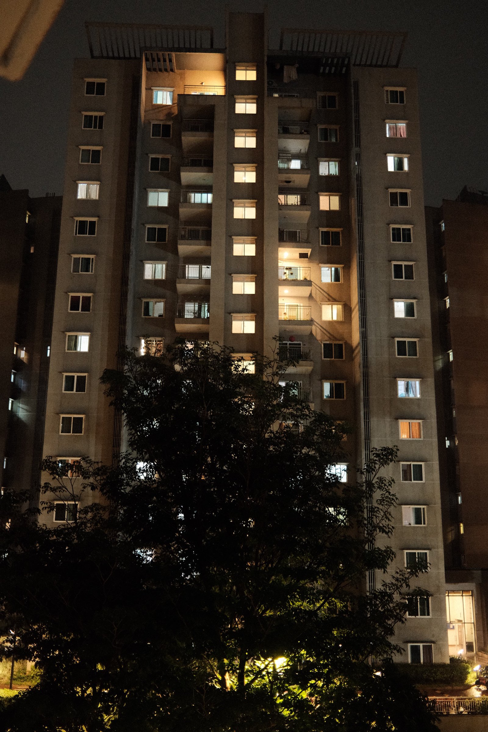 Lit apartment windows at night, a tree silhouette cutting across the frame. The first photo shot on this camera.