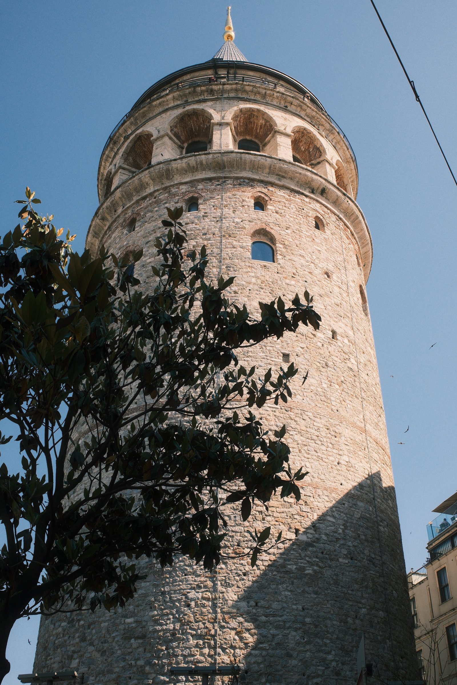 Galata Tower's stone facade and conical roof, shot looking straight up, tree branches in the foreground.